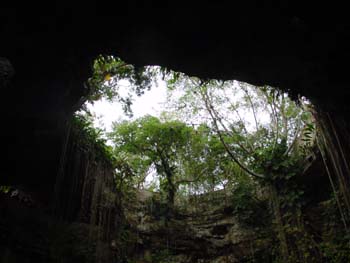 DSC00031