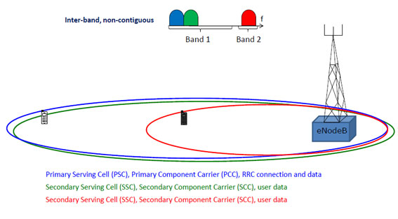 CA image3